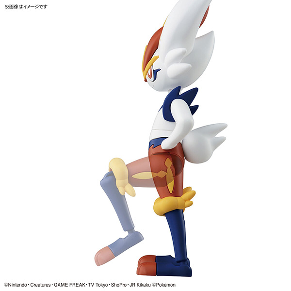 【現貨】BANDAI 組裝模型 Pokémon PLAMO 收藏集 50 閃焰王牌  