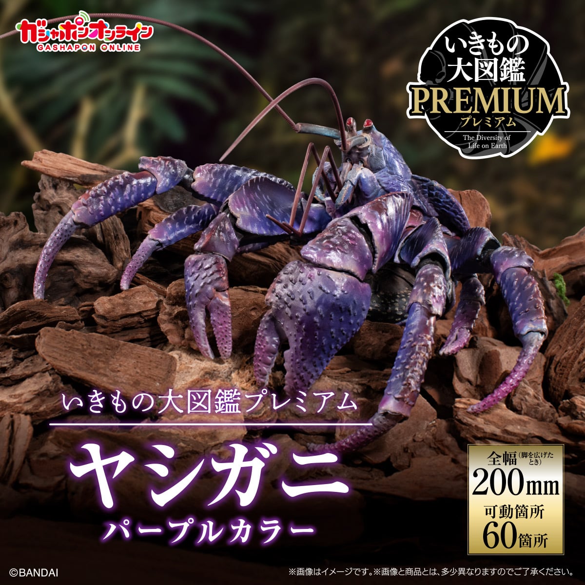 (預購)26年8月 BANDAI 代理版 生物大圖鑑PREMIUM 椰子蟹(紫色) 盒玩 